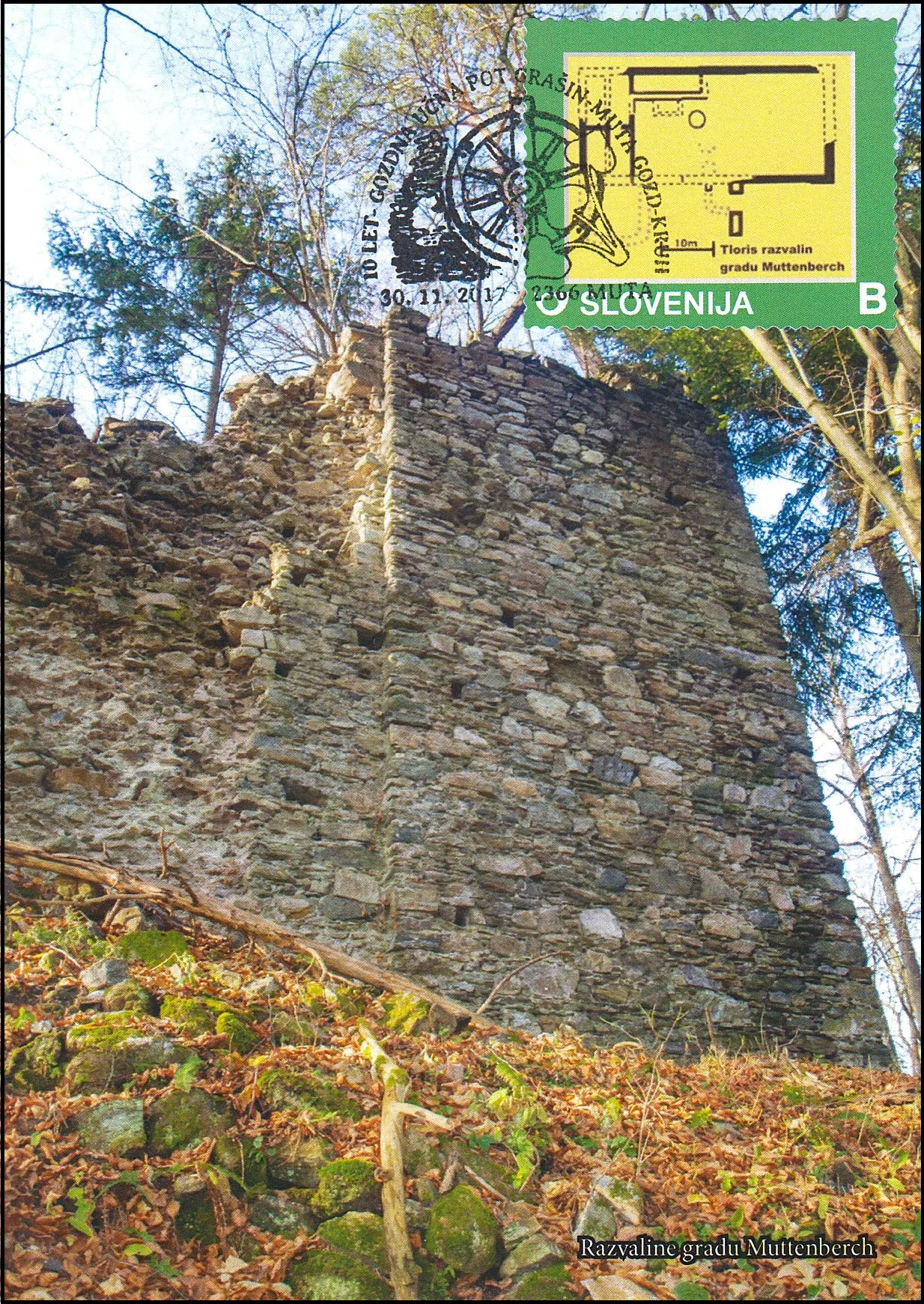 10 LET GOZDNA UČNA POT GRAŠIN - MUTA GOZD - KRUH